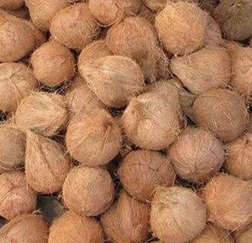 Pollachi Nature Coconut