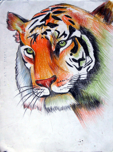 Handmade Tiger Painting - Color: Multi Color