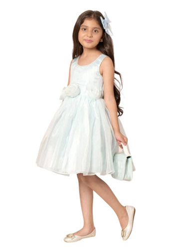Sky Blue Rose Organza Girls Dress