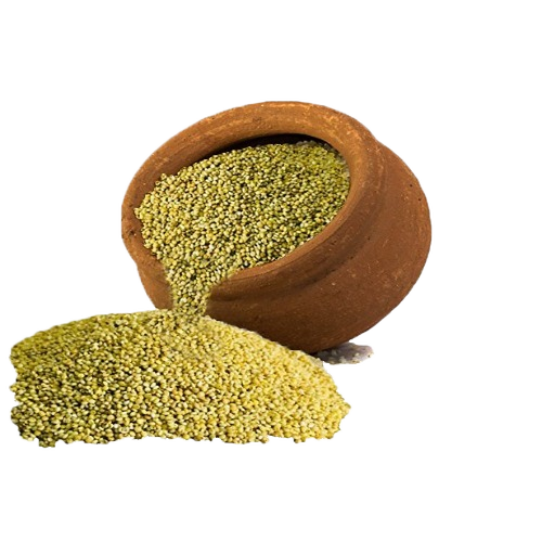 Browntop Millet - Cultivation Type: Common