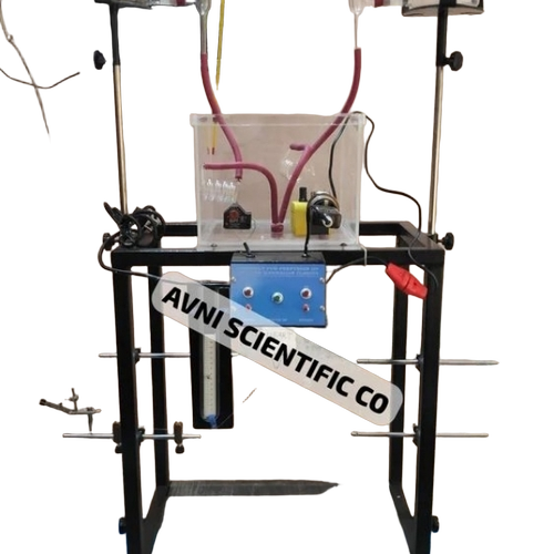 Mammalian Heart Perfusion Assembly