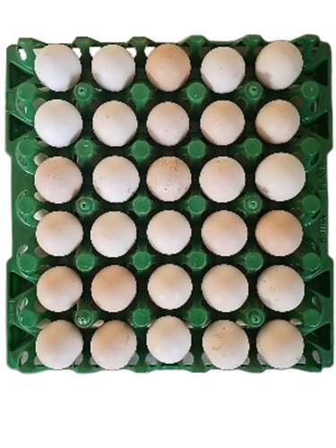 Desi Eggs (Sonali)