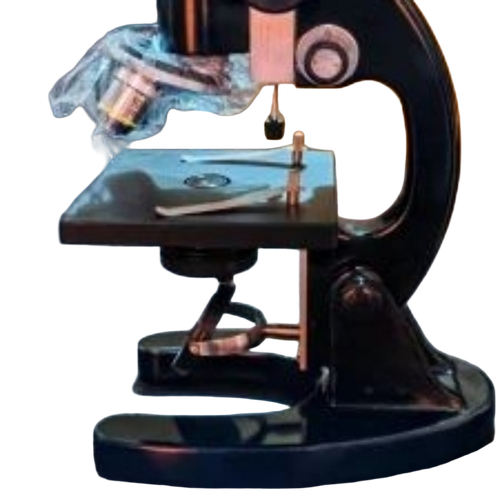 Compound Student Microscope
