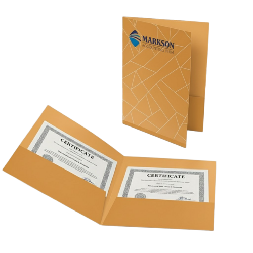 Presenration File Folder With Double Pocket - Application: For Business Use