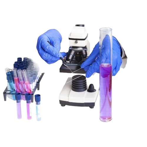 Microscope