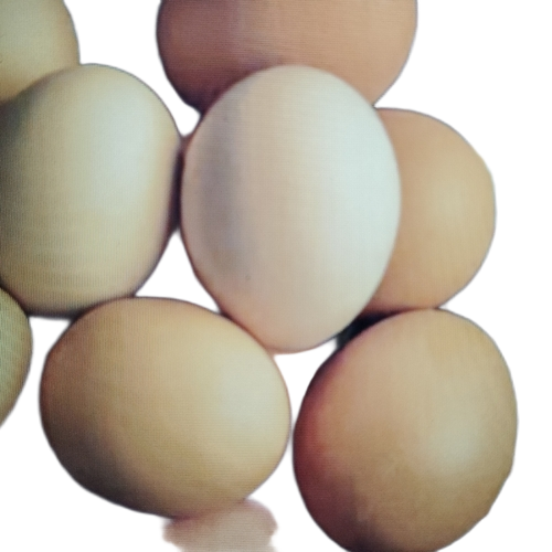 Eggs