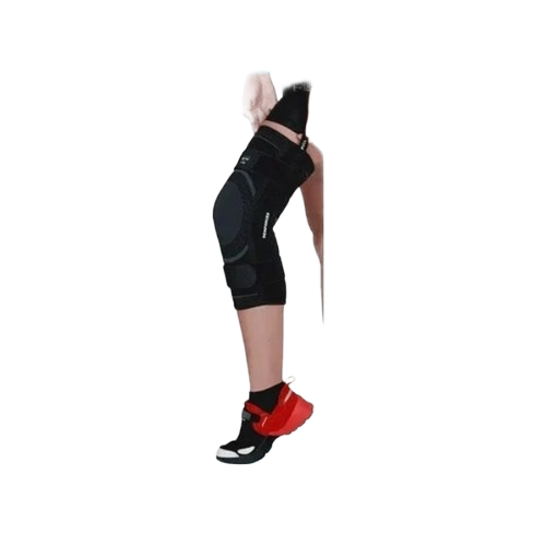 Knee Cap With Hinges 