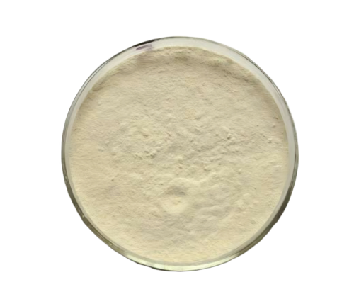 Tamarind Seed Powder