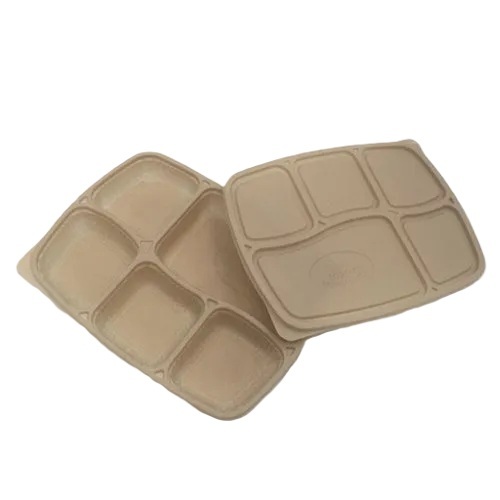  5 Cp Disposable Food Tray