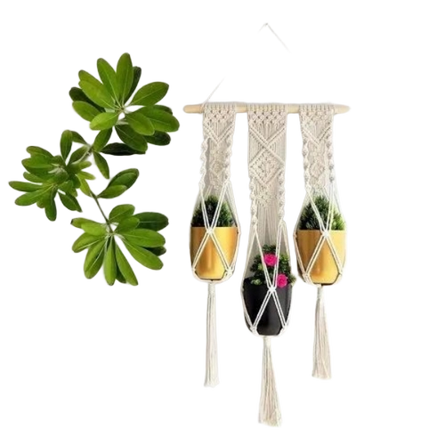 Plant Hanger