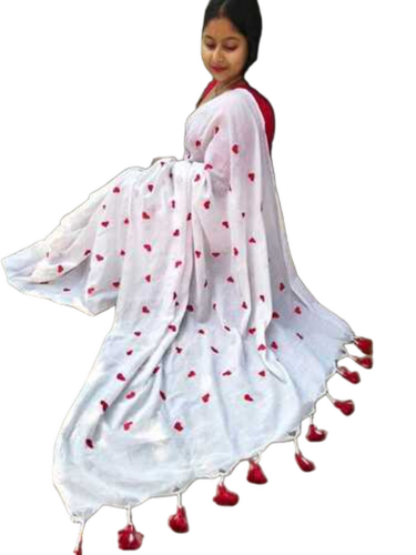 Embroidery Design Saree