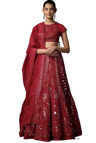 Red Organza Hand Embroidered Lehenga Set
