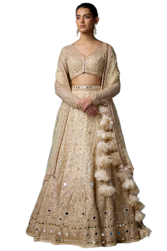Rose Gold Hand Embroidered Lehenga Set - Cultivation Type: Gmo