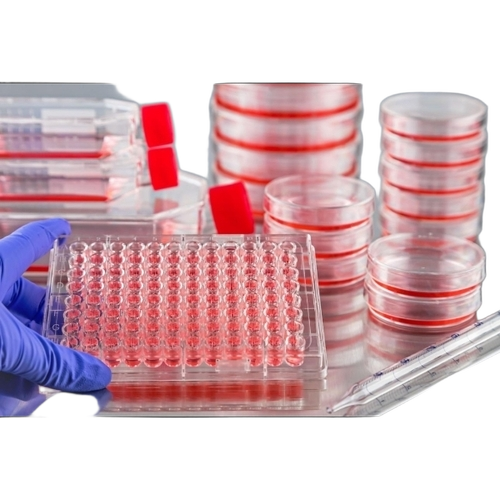 Petri Dish