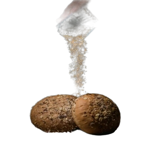 Brown Multigrain Burger