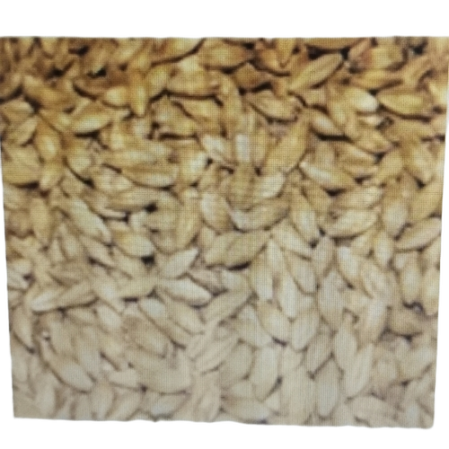 Animal Feed Barley