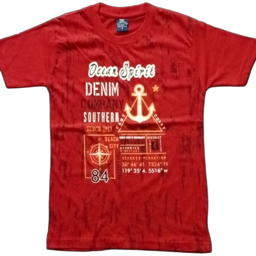 Boys Printed T Shirt