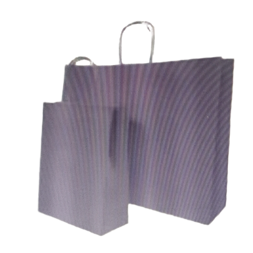 Shopping Paper Bags