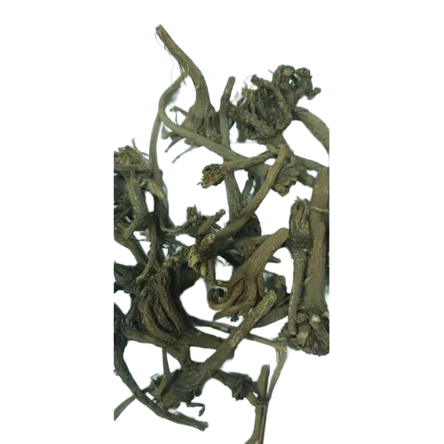 Akalkara Root Herb - Color: Natural Dried Color