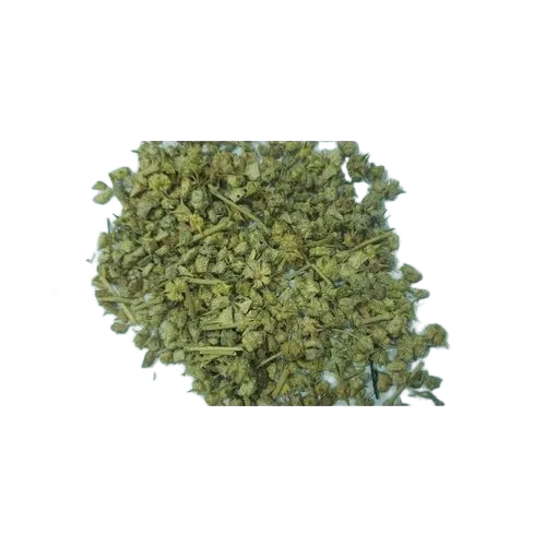 Anti Bacterial Gokhru Herb - Color: Natural Dried Color