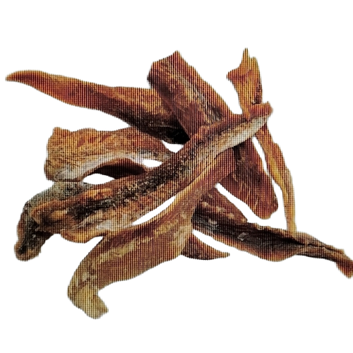 Dog Treats