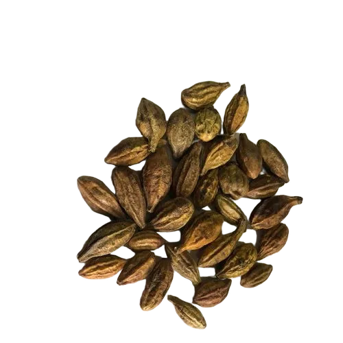 Dried Harda Herb - Packaging: Blister Pack