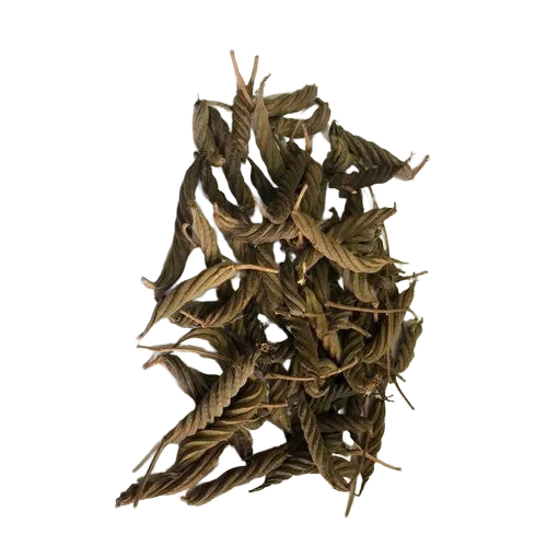 Dried Helicteres Isora Herb - Packaging: Blister Pack