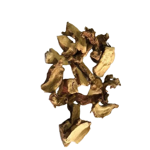 Dried Kulanjan Galangal Herb - Packaging: Blister Pack