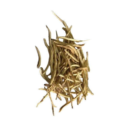 Dried Musli Herb - Packaging: Blister Pack