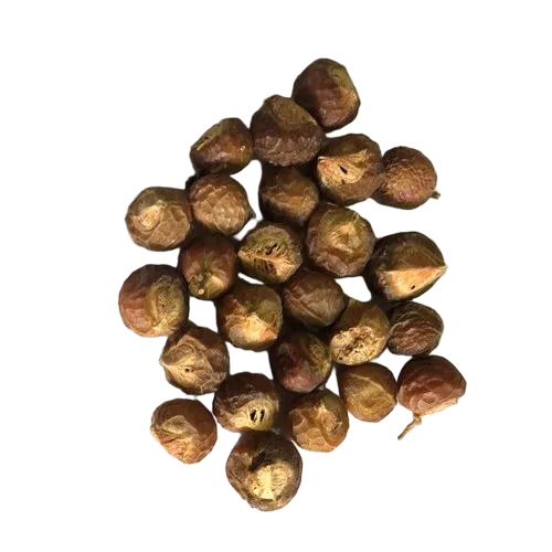 Dried Reetha Herb - Packaging: Blister Pack