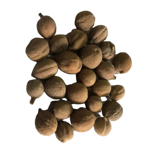 Organic Baheda Herb - Color: Natural Dried Color