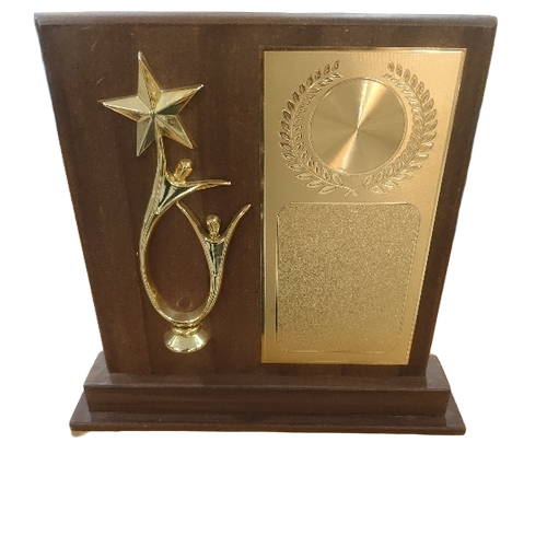 Wooden College Trophy
