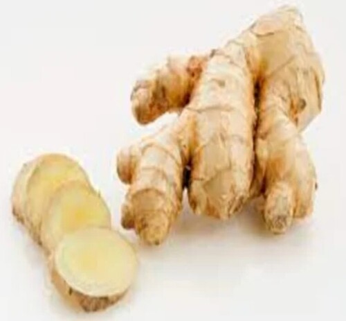 Ginger 