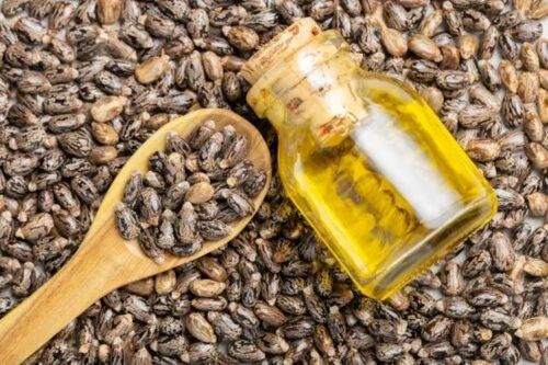 Nutrient Rich Caster Oil