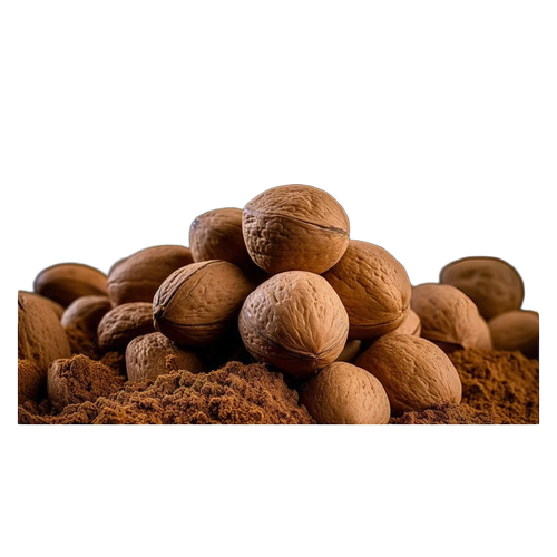 Organic Dried Nutmeg - Grade: A-Grade