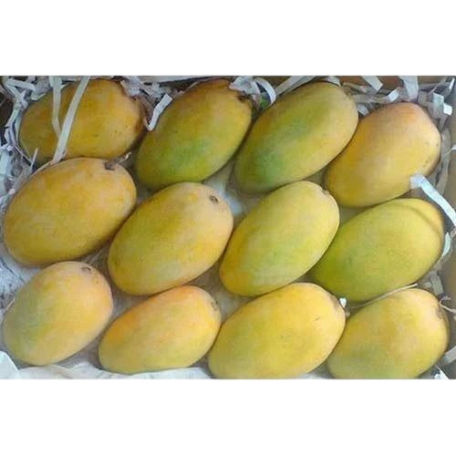 केसर आम