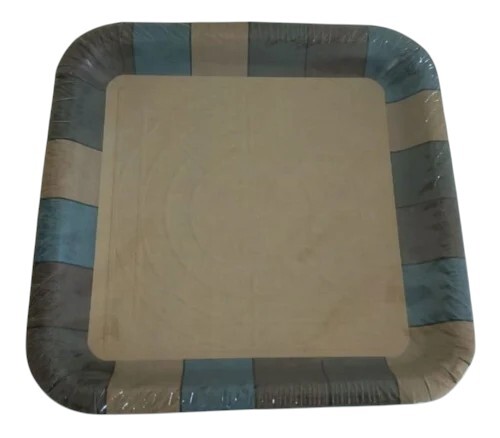 Laminated Paper Disposable Plate - Application: Parties