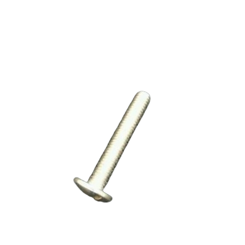 Ss Screw
