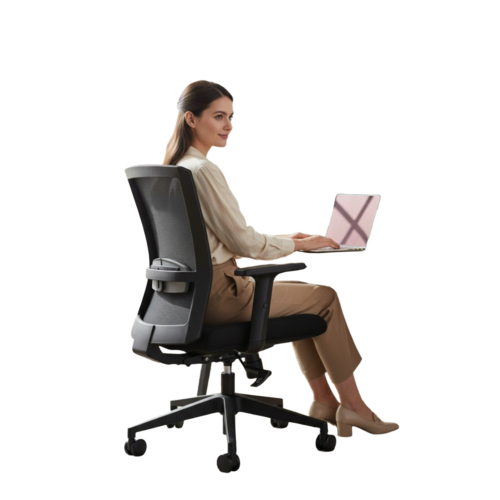 Aura Ergonomic Office Chair (Muxa)