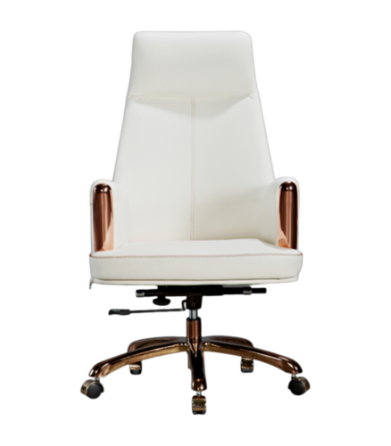 B&D Leatherate Chair Camry - Application: Offices