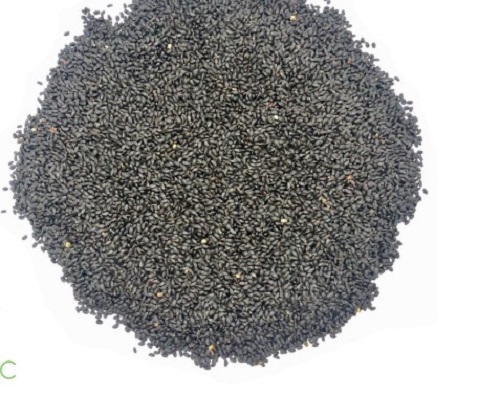 Basil Seeds