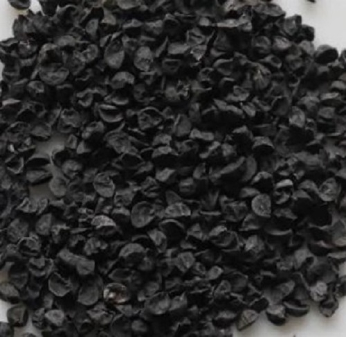 Onion Seeds