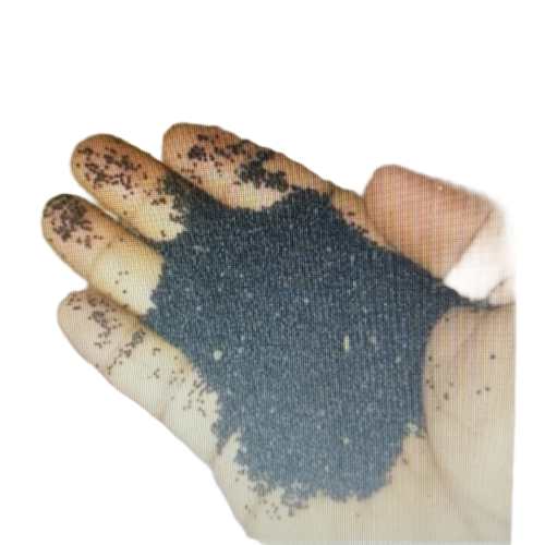 Purslane Seeds