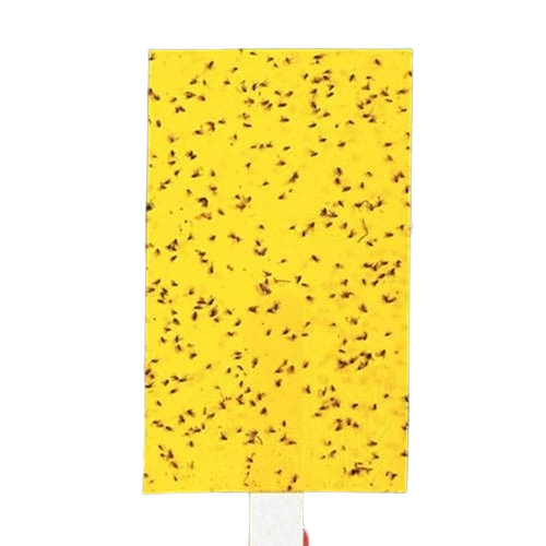 Yellow Sticky Trap