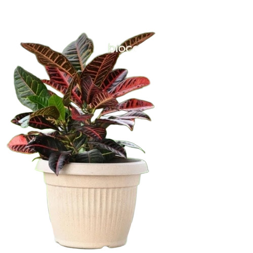 Bella Round Planter Pot 12 Inch