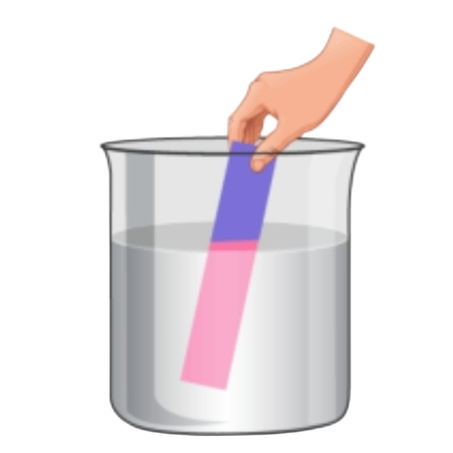 Organic Acids 