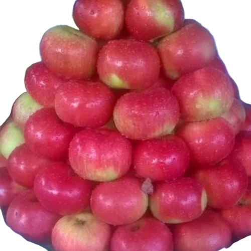 A Grade Apple