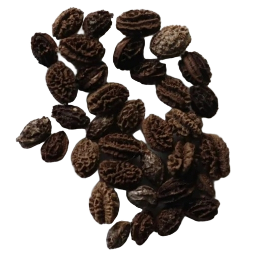Papaya Seeds