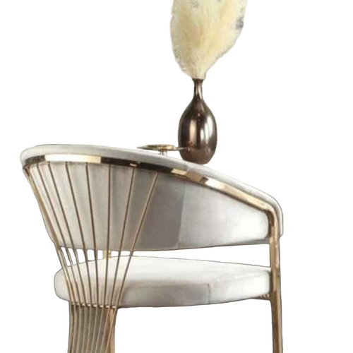 Dining Chairs By Shrihari Decor