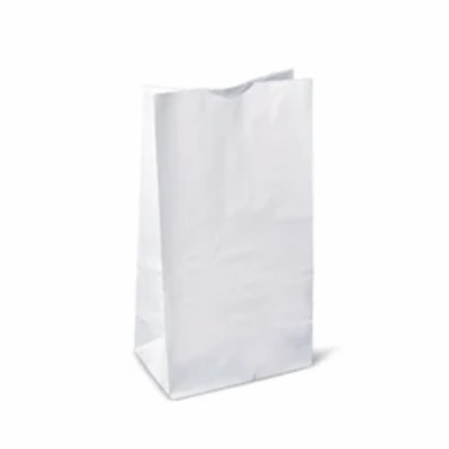 Paper Bag
